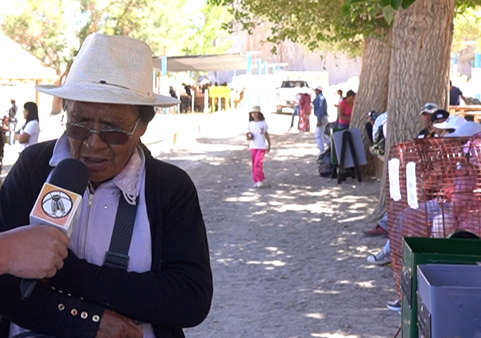 Postales de la Puna 2